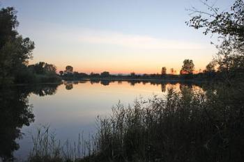 das Ochsenfeld