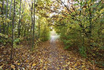 Rundweg