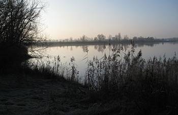 die Schlicht